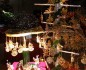 marche de noel/(1)